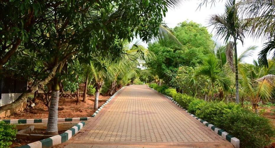 Bgrows Kanva Resort, Bangalore 3